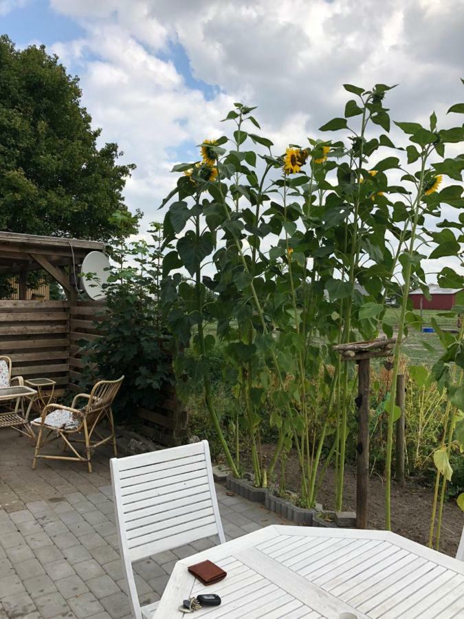A Big Holidayhouse Romo-Rim-Ribe Skærbæk Dış mekan fotoğraf